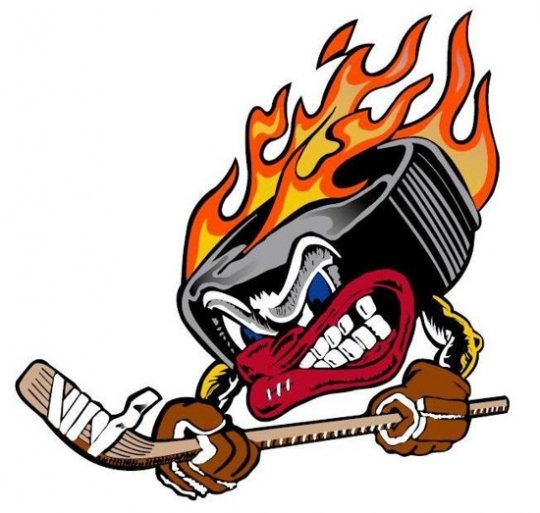 Sabre Hockey Association Powered by GOALLINE